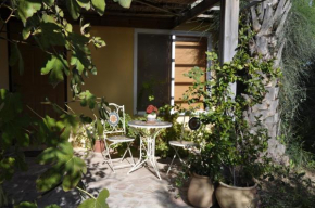 Отель The OLive Tree  Тзафририм